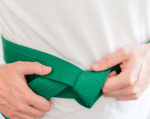 LSS Florida-Lean Six Sigma Green Belt LSS Florida-Lean Six Sigma Green Belt
