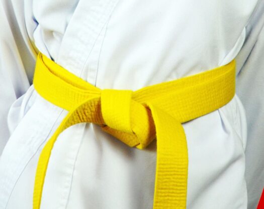 LSS Florida-Lean Six Sigma Yellow Belt LSS Florida-Lean Six Sigma Yellow Belt