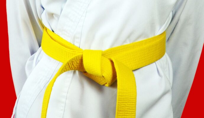 LSS Florida-Lean Six Sigma Yellow Belt